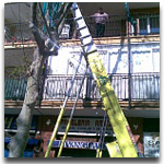 plataformas elevadoras para mudanzas barcelona